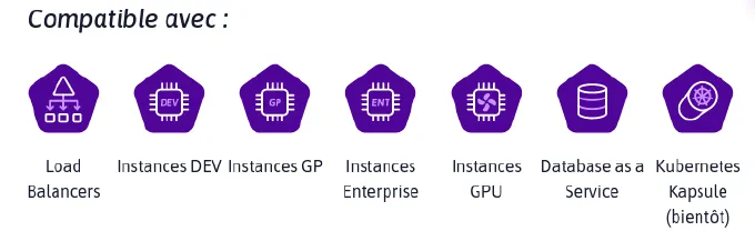 Liste des ressources supportée (source : scaleway.fr)
