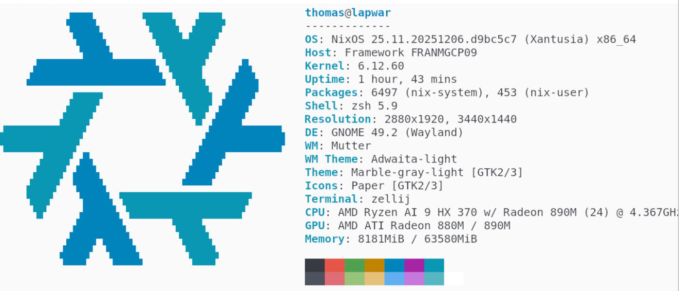 Le classique Neofetech